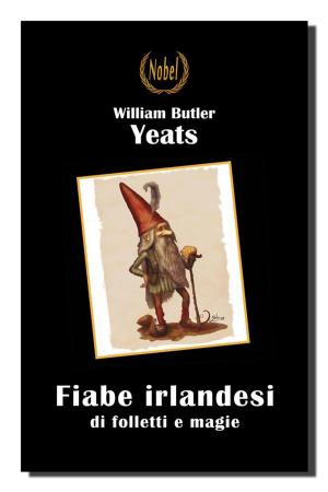 Book cover of Fiabe irlandesi di folletti e magie