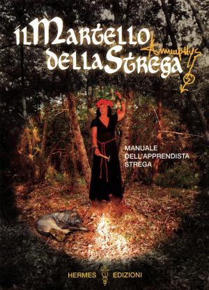 Cover of the book Il martello della strega by Claudio Maneri