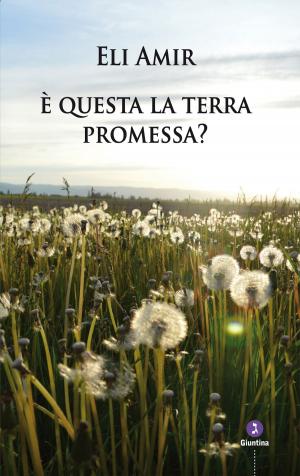 Cover of the book È questa la terra promessa? by Adin Steinsaltz