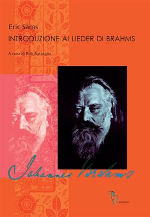 Book cover of Introduzione ai Lieder di Brahms