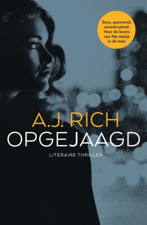 Cover of the book Opgejaagd by Steve Cavanagh