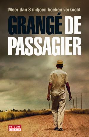 Cover of the book De passagier by Joke van Leeuwen