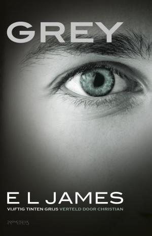Cover of the book Grey by Yann Martel