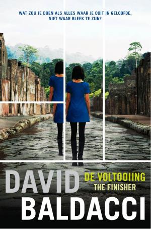 Cover of the book De voltooiing by Elizabeth George