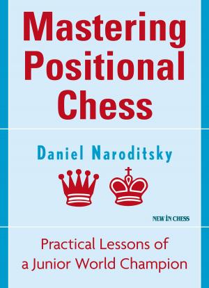 Cover of the book Mastering Positional Chess by Jan Timman
