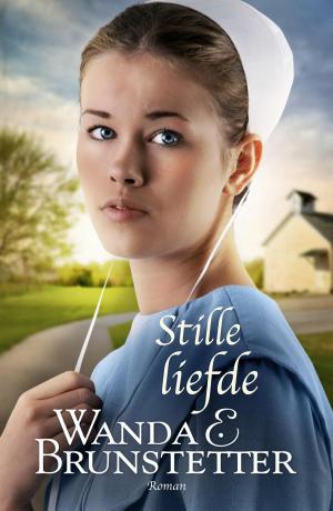 Cover of the book Stille liefde by Simone Foekens