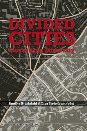 Cover of the book Divided Cities by Andreas Åkerlund