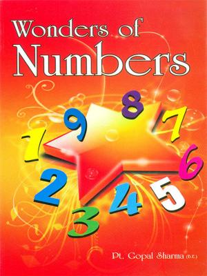 Cover of the book Wonders of Numbers by Sonya Bateman