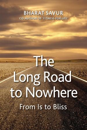 Cover of the book The Long Road to Nowhere: From Is to Bliss by Stuart Kamille