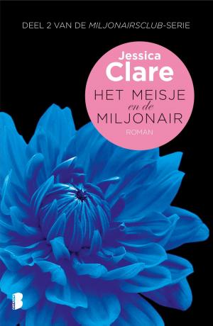 Cover of the book Het meisje en de miljonair by Terry Pratchett