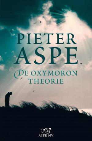 Cover of the book De oxymorontheorie by Marc Olden