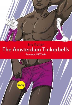 bigCover of the book The Amsterdam Tinkerbells by 