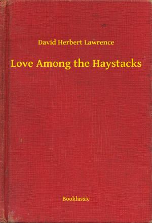 Book cover of Love Among the Haystacks
