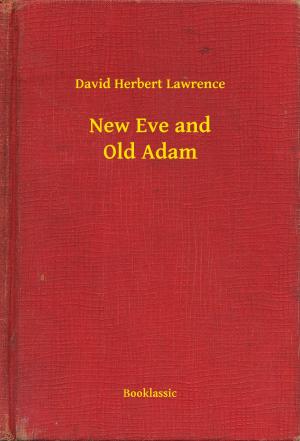 Book cover of New Eve and Old Adam