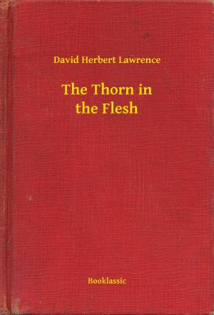 Cover of the book The Thorn in the Flesh by Nathaniel Hawthorne