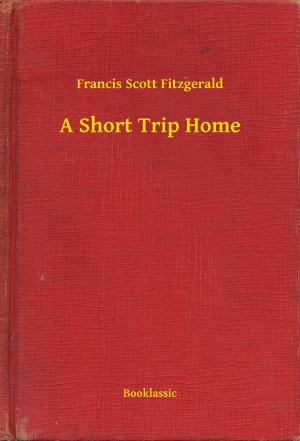 Cover of the book A Short Trip Home by Alexandre Dumas