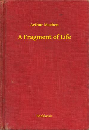 Cover of the book A Fragment of Life by E. T. A. Hoffmann