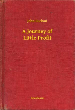 Book cover of A Journey of Little Profit