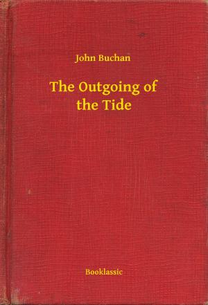 Cover of the book The Outgoing of the Tide by Joel Puga