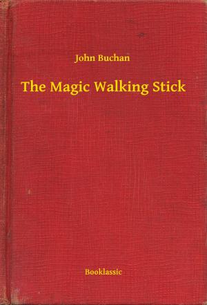 Cover of the book The Magic Walking Stick by Susan Coolidge