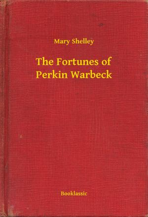 Book cover of The Fortunes of Perkin Warbeck