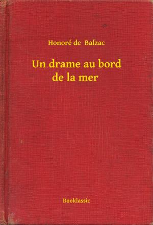 Cover of the book Un drame au bord de la mer by Émile Gaboriau