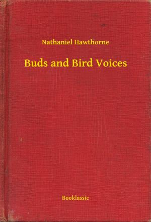 Book cover of Buds and Bird Voices