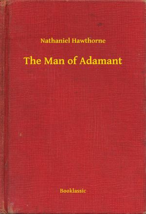 Book cover of The Man of Adamant