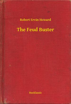 Cover of the book The Feud Buster by George Barr McCutcheon