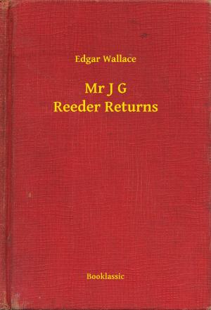 Cover of the book Mr J G Reeder Returns by Alexandre Dumas