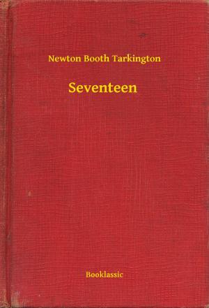 Book cover of Seventeen
