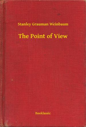 Cover of the book The Point of View by Edgar Allan Poe