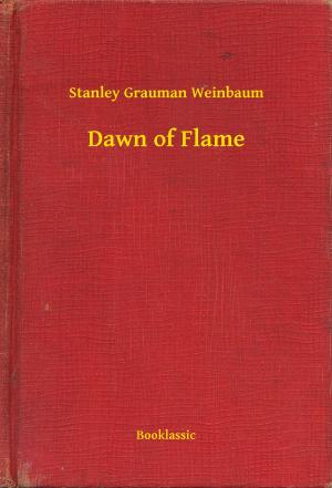 bigCover of the book Dawn of Flame by 