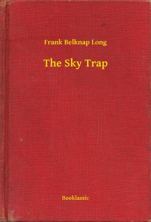 Book cover of The Sky Trap