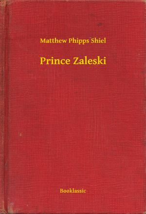 Cover of the book Prince Zaleski by Nancy Fulda