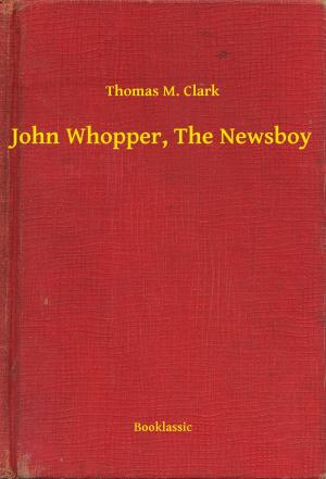 Book cover of John Whopper, The Newsboy