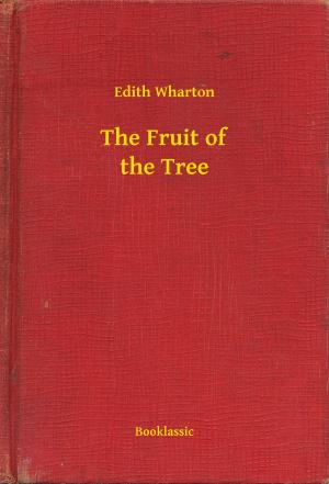 Cover of the book The Fruit of the Tree by Karl May