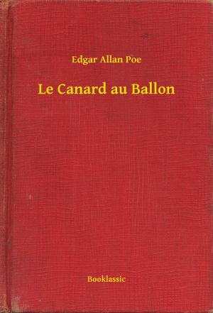Cover of the book Le Canard au Ballon by Emilio Salgari