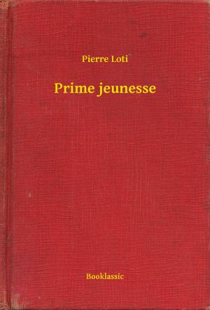 Book cover of Prime jeunesse