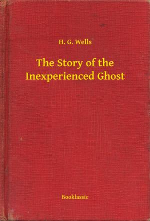 Cover of the book The Story of the Inexperienced Ghost by Vicente  Blasco Ibánez