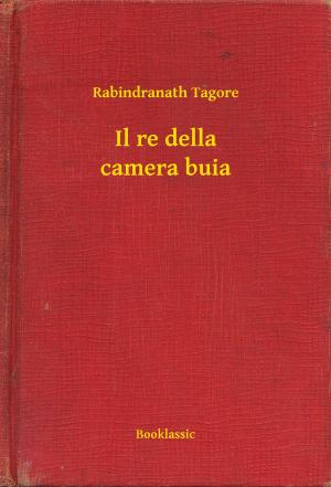 Book cover of Il re della camera buia