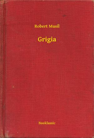 Book cover of Grigia