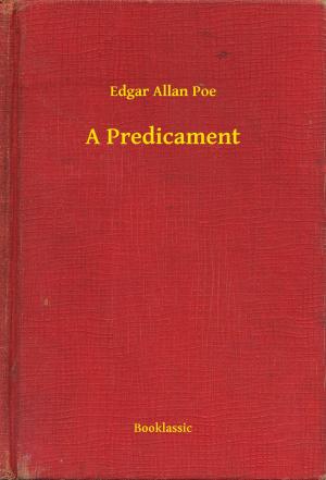 Cover of the book A Predicament by E. T. A. Hoffmann