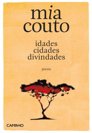 Cover of the book idades cidades divindades by João Melo