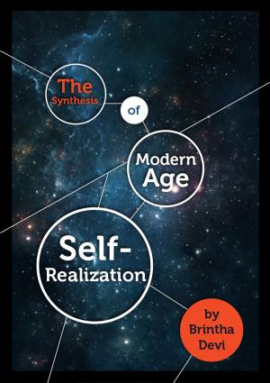 Book cover of The Synthesis of Modern Age Self-Realization