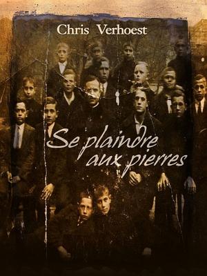Cover of the book Se plaindre aux pierres by Chris Verhoest