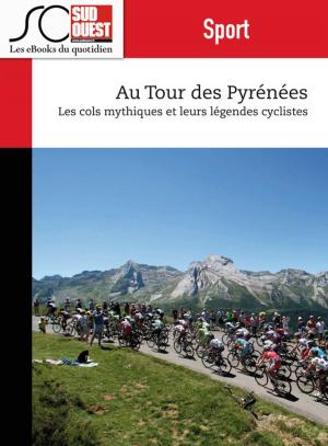 Cover of the book Au Tour des Pyrénées by Journal Sud Ouest, Fabien Pont