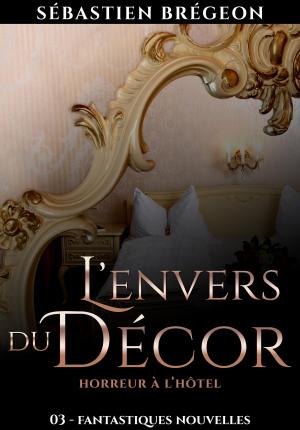 Cover of the book L'envers du décor by Sylvain Henri André Agneray
