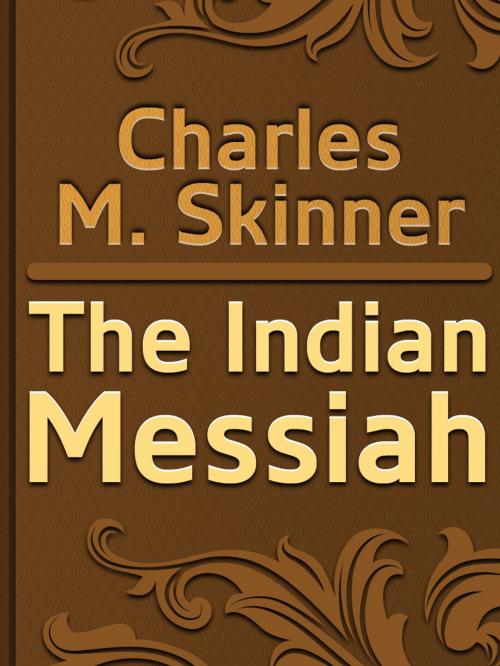 Cover of the book The Indian Messiah by Charles M. Skinner, Media Galaxy