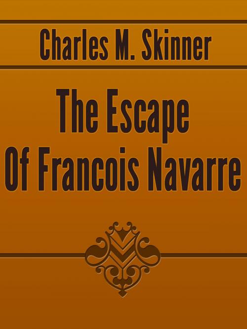 Cover of the book The Escape Of Francois Navarre by Charles M. Skinner, Media Galaxy